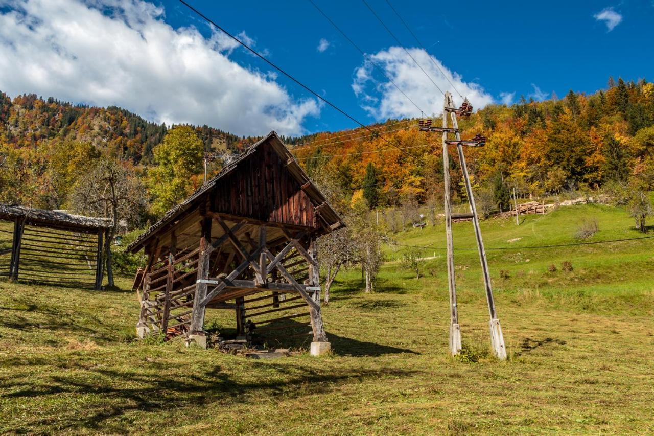 Holiday House Pokrovec - Бохинь Экстерьер фото