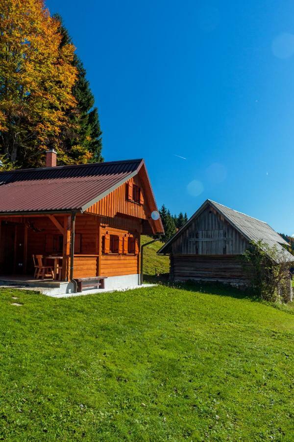 Holiday House Pokrovec - Бохинь Экстерьер фото